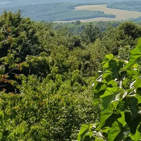 Garabi Udvarhaz Garáb